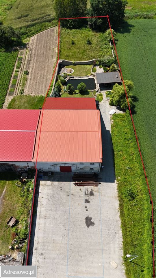 Hala/magazyn Siedlce. Zdjęcie 3