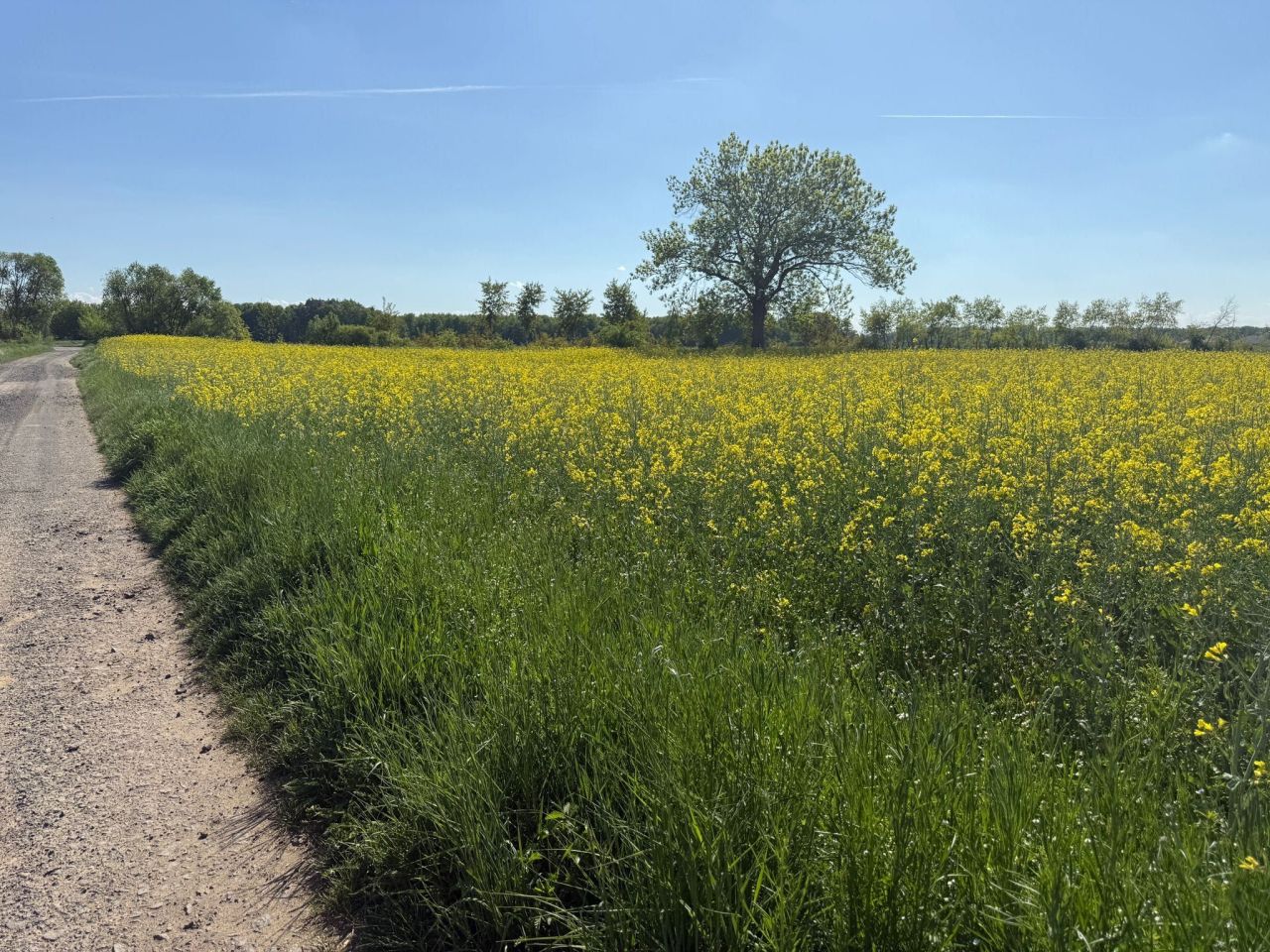 Działka budowlana Żelazna. Zdjęcie 7