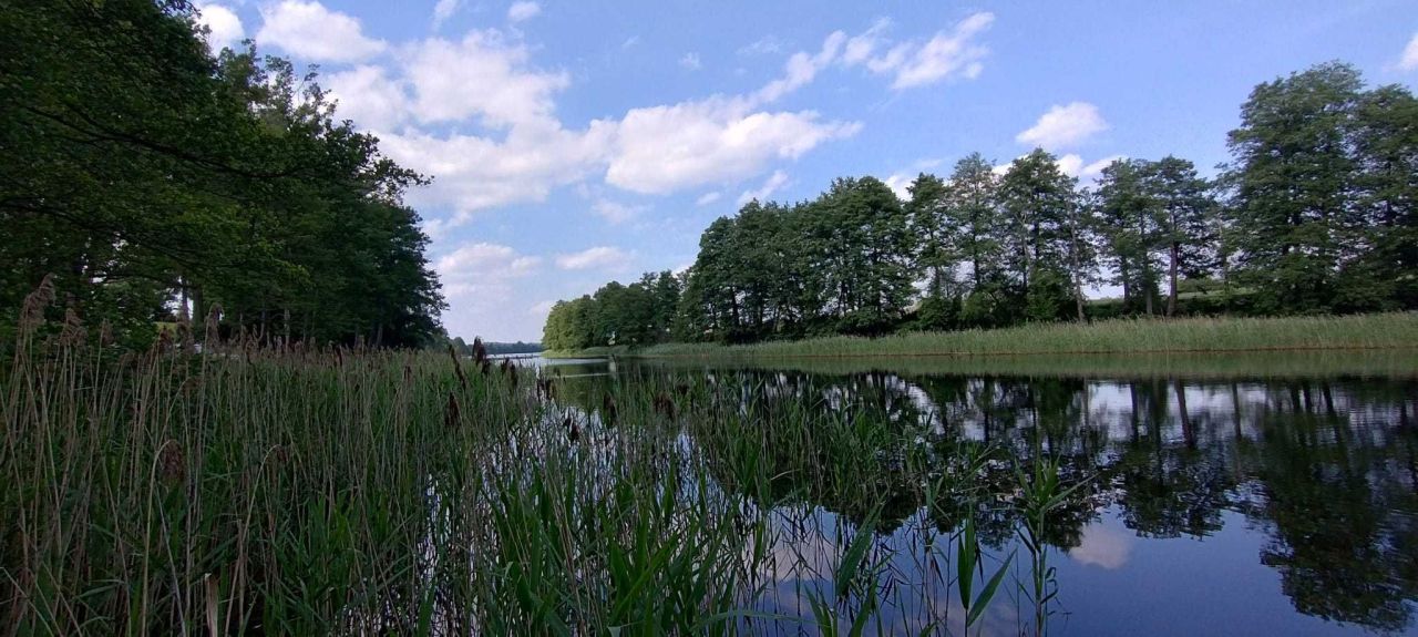 Działka rolno-budowlana Krzęcin. Zdjęcie 2