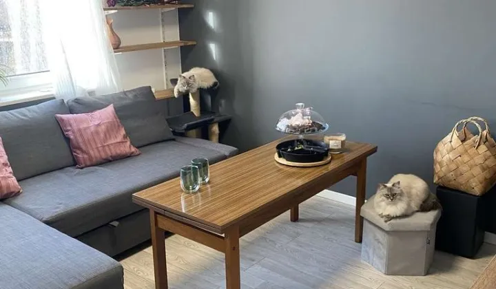 Mieszkanie 3-pokojowe Katowice Ligota, ul. Kredytowa