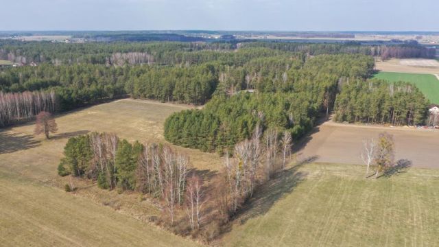 dom wolnostojący, 4 pokoje Szafranki. Zdjęcie 7