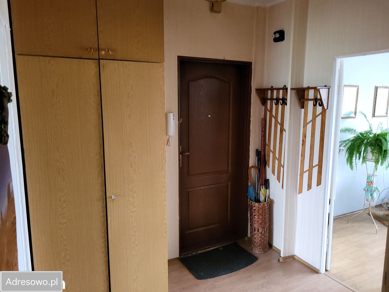 Mieszkanie 2-pokojowe Szczecin Centrum, ul. 1 Maja. Zdjęcie 6