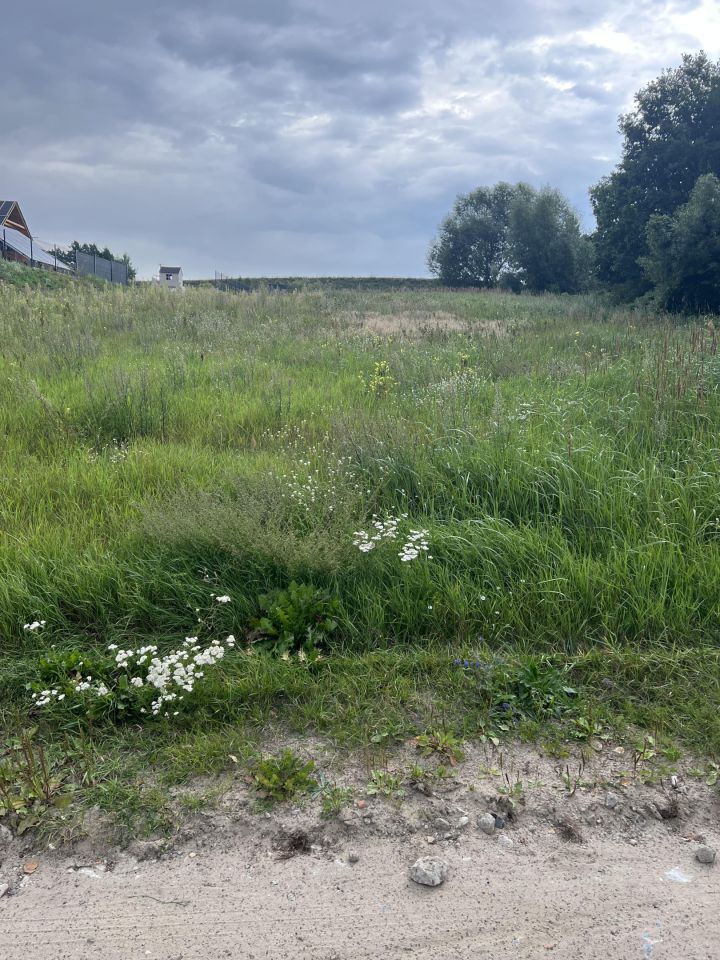 Działka budowlana Kominy. Zdjęcie 7