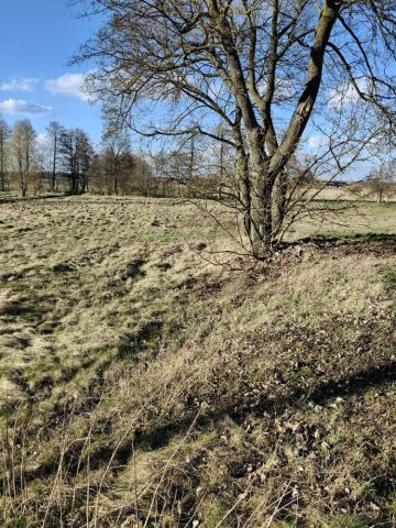 Działka budowlana Niegosław. Zdjęcie 1