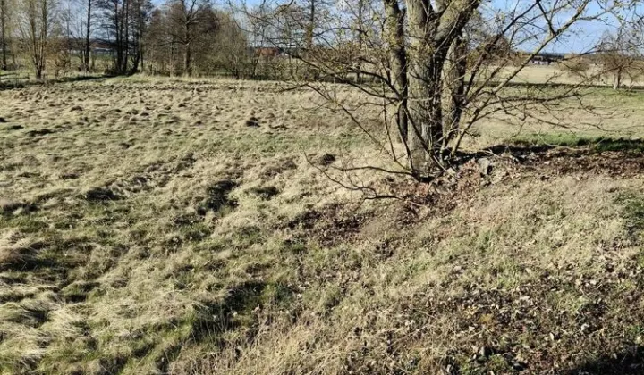 Działka budowlana Niegosław