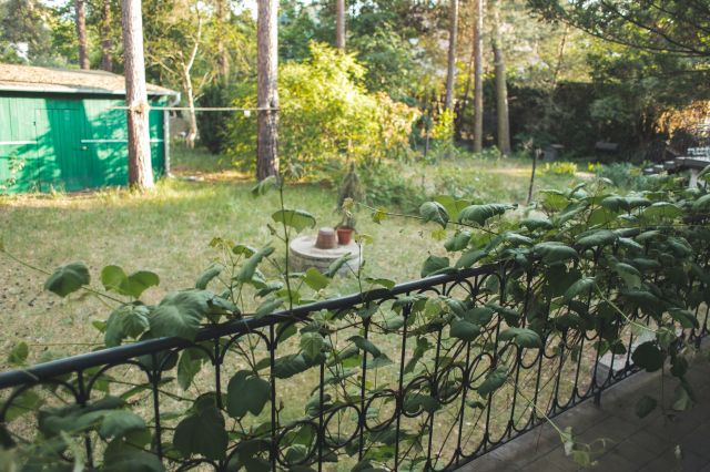 dom wolnostojący, 5 pokoi Głowno, ul. Plażowa. Zdjęcie 12