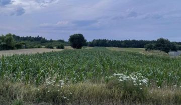 Działka rolno-budowlana Radkowice