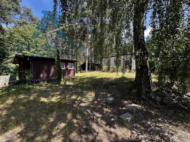 Hotel/pensjonat Błądzim. Zdjęcie 10