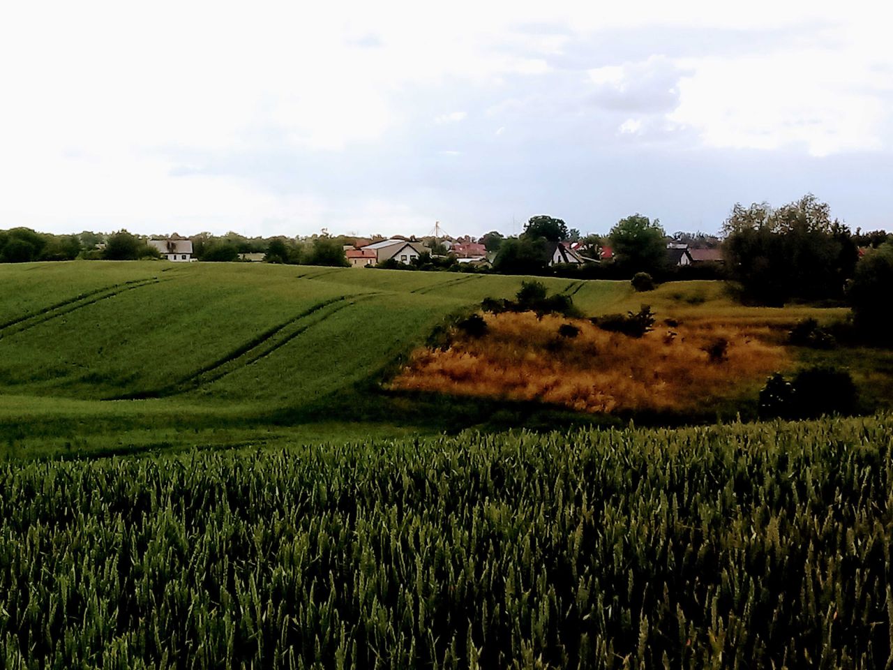 Działka budowlana Nowa Wieś Malborska. Zdjęcie 5