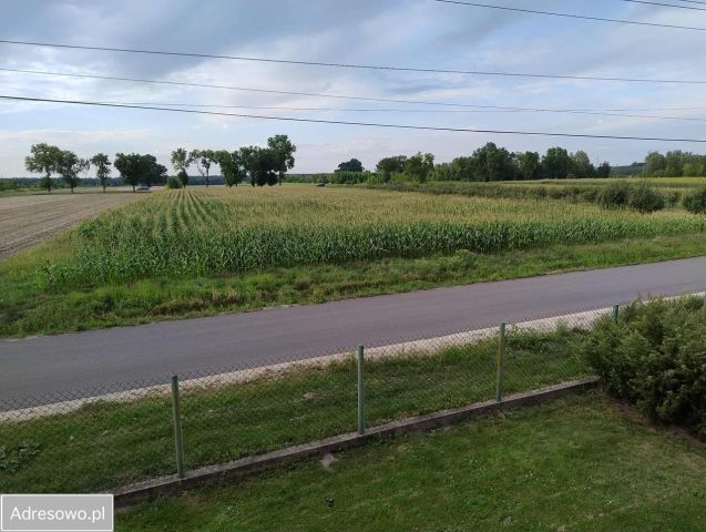 Działka budowlana Kikoły. Zdjęcie 1