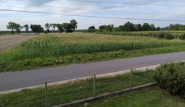 Działka budowlana Kikoły