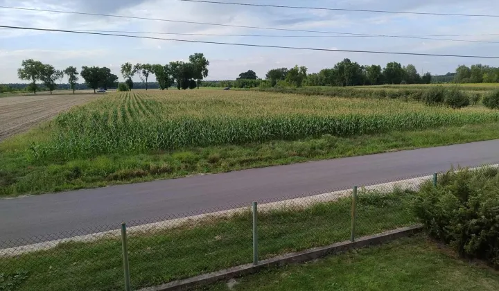 Działka budowlana Kikoły