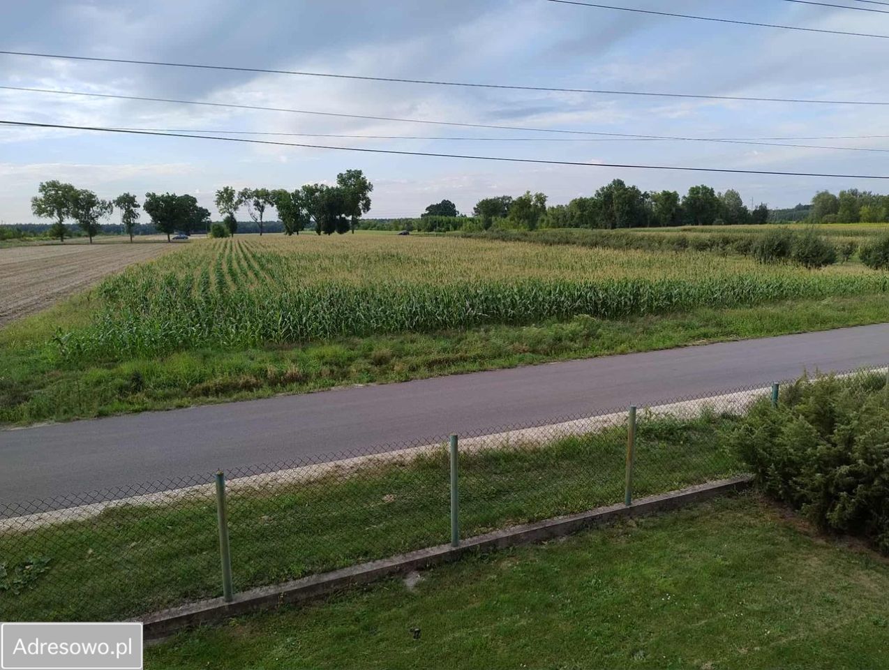 Działka budowlana Kikoły