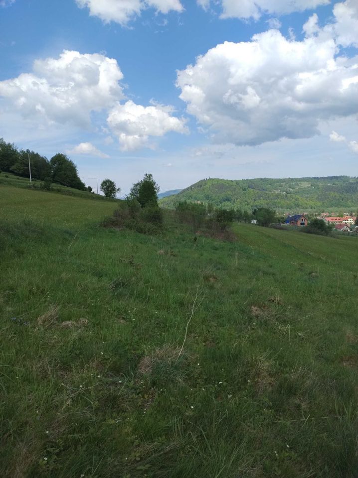 Działka rolna Świnna. Zdjęcie 2