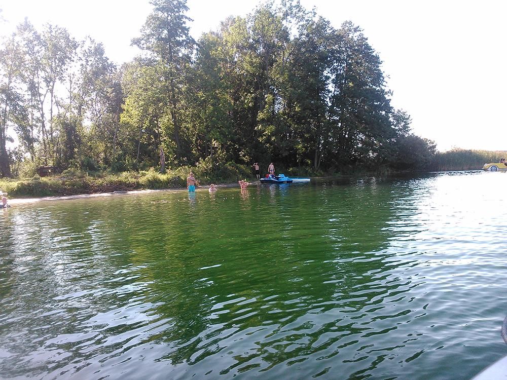 Działka rekreacyjna Wiekowo. Zdjęcie 6