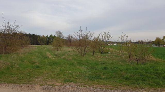 Działka rolna Budy Wandalińskie. Zdjęcie 1
