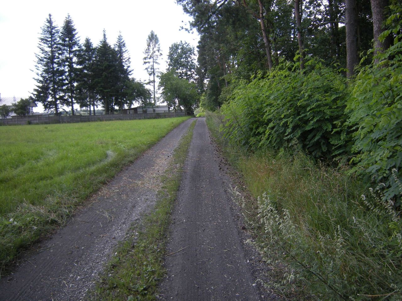 Działka budowlana Budziszewice. Zdjęcie 2