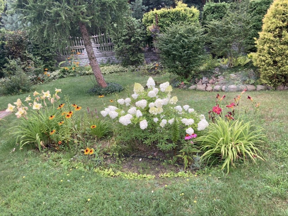 dom wolnostojący, 5 pokoi Prażmów. Zdjęcie 8