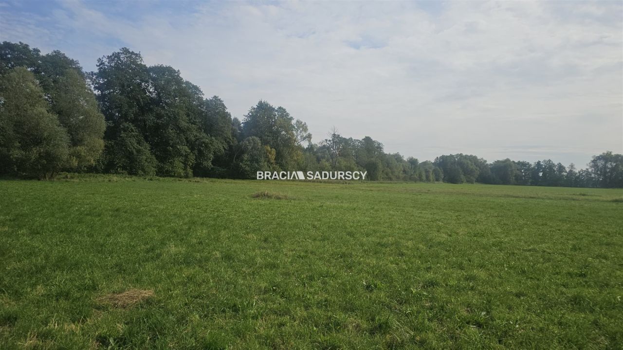 Działka inwestycyjna Cholerzyn. Zdjęcie 6