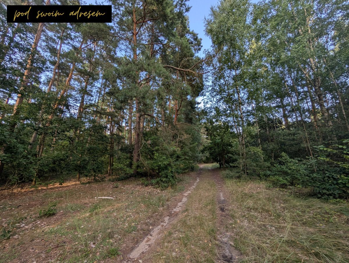 Działka rekreacyjna Małe Łąkie. Zdjęcie 6
