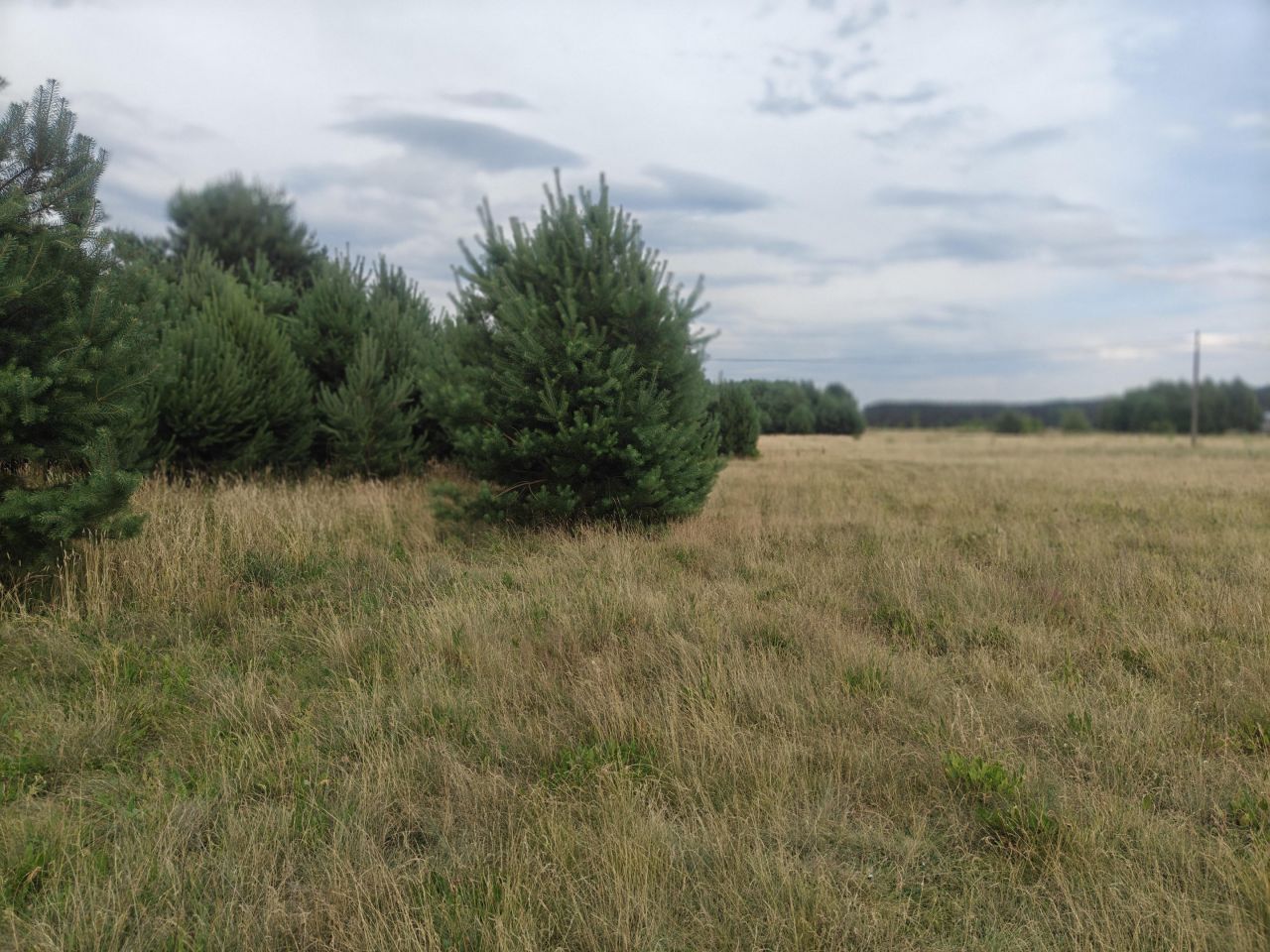 Działka budowlana Rąpin. Zdjęcie 4