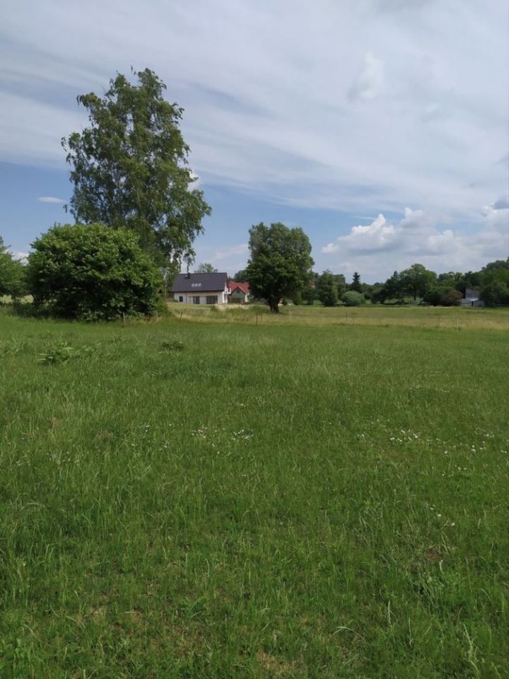 Działka budowlana Gnatowo kolonia. Zdjęcie 5