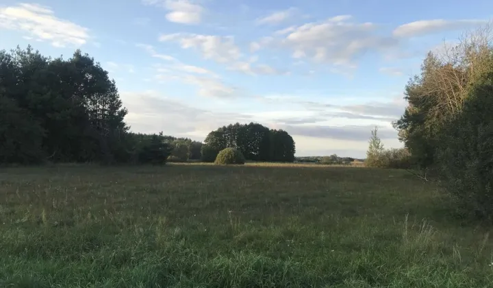 Działka rolno-budowlana Kamionka, ul. Krzywy Dąb