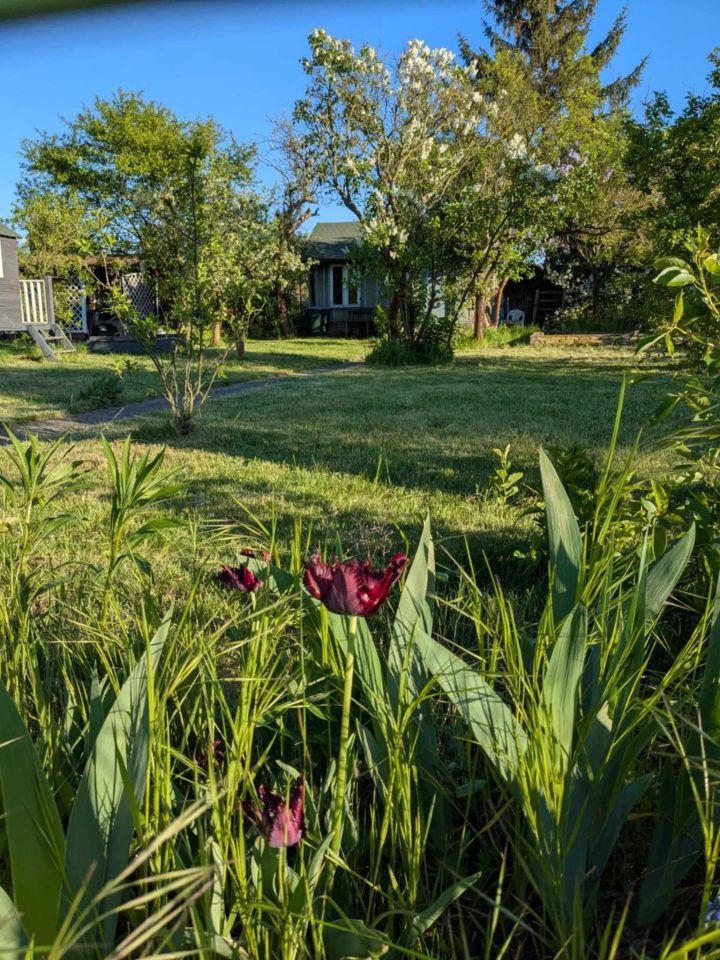 Działka rod Wrocław Fabryczna, ul. Klecińska. Zdjęcie 5