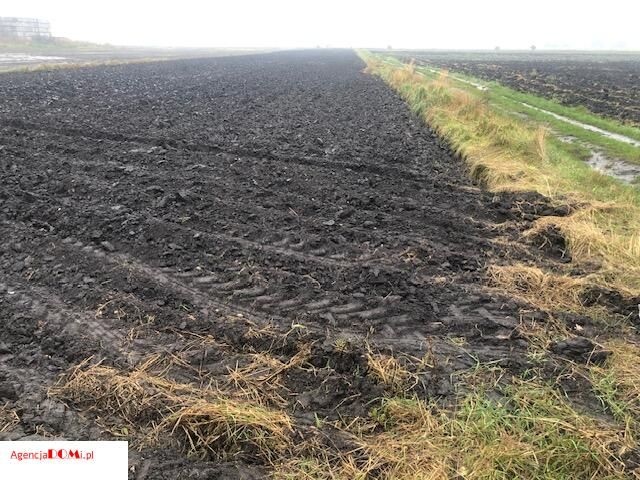 Działka budowlana Radzików. Zdjęcie 7