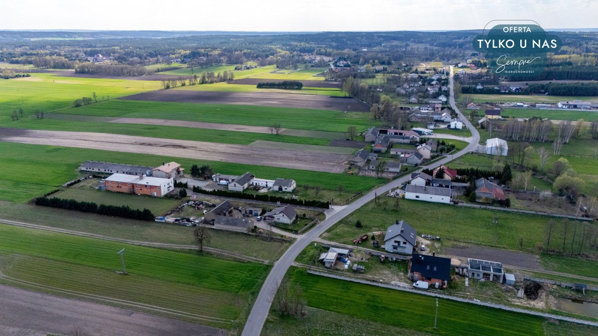 Lokal Polichno. Zdjęcie 13