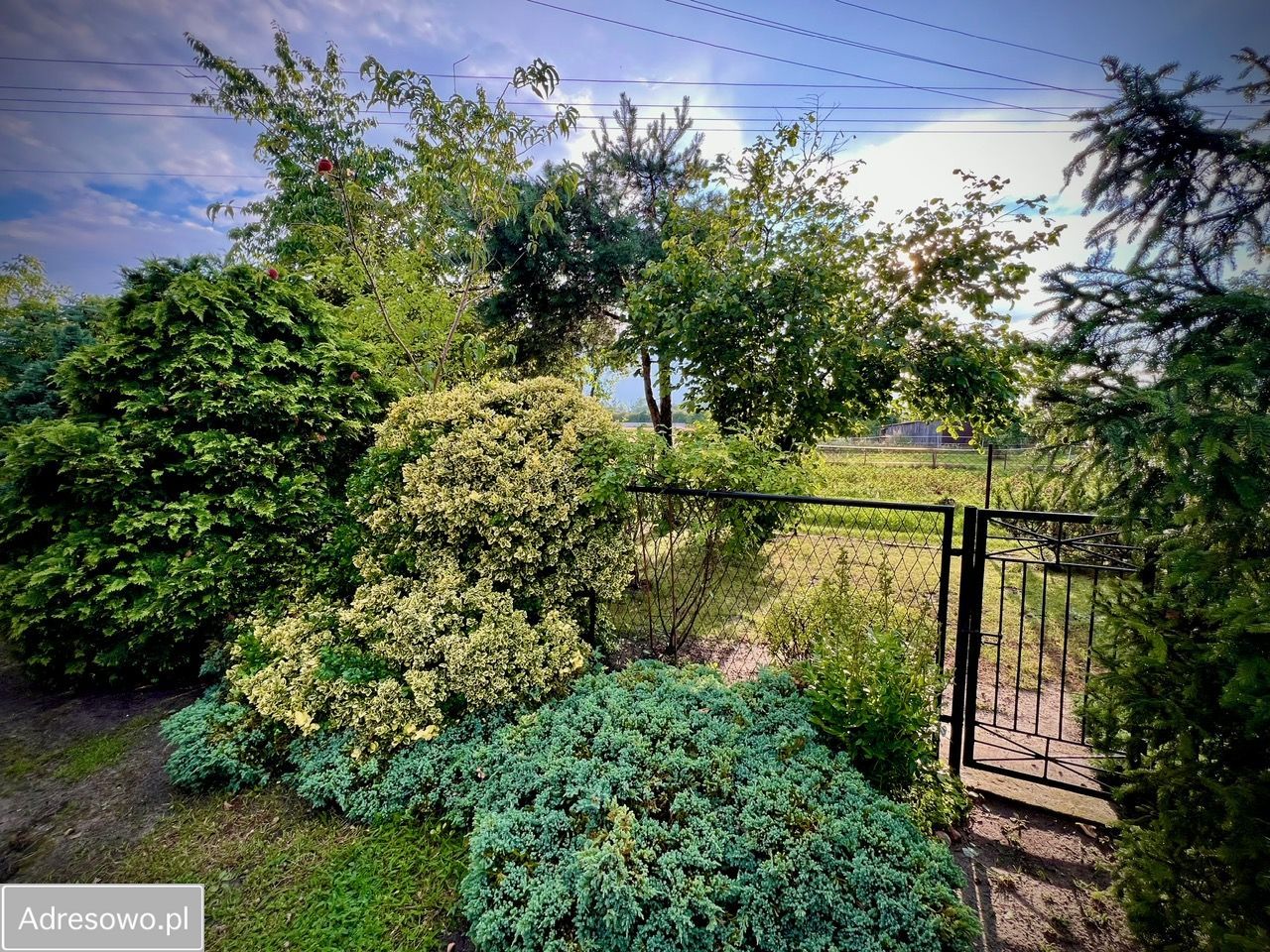 dom wolnostojący, 2 pokoje Wróble-Wargocin. Zdjęcie 2