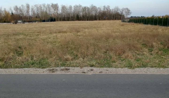 Działka budowlana Bednary-Kolonia