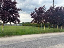 Działka budowlana Tarchalin. Zdjęcie 1