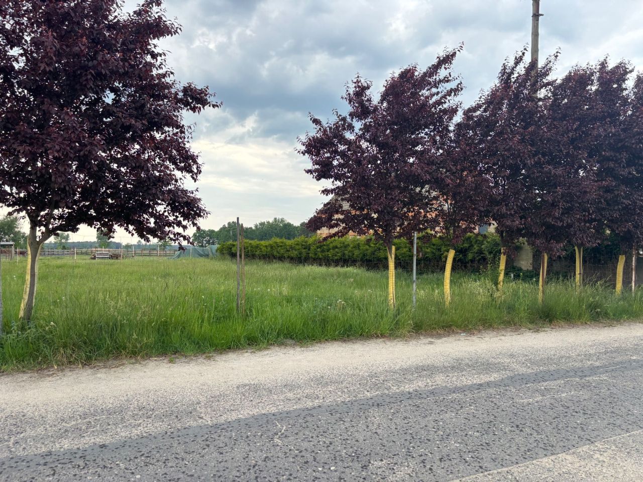 Działka budowlana Tarchalin. Zdjęcie 2