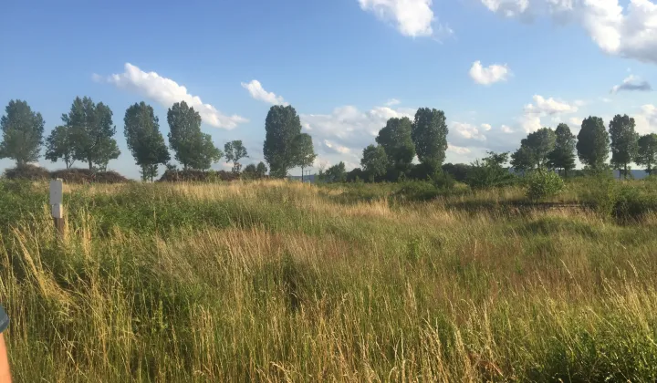 Działka inwestycyjna Mikowice