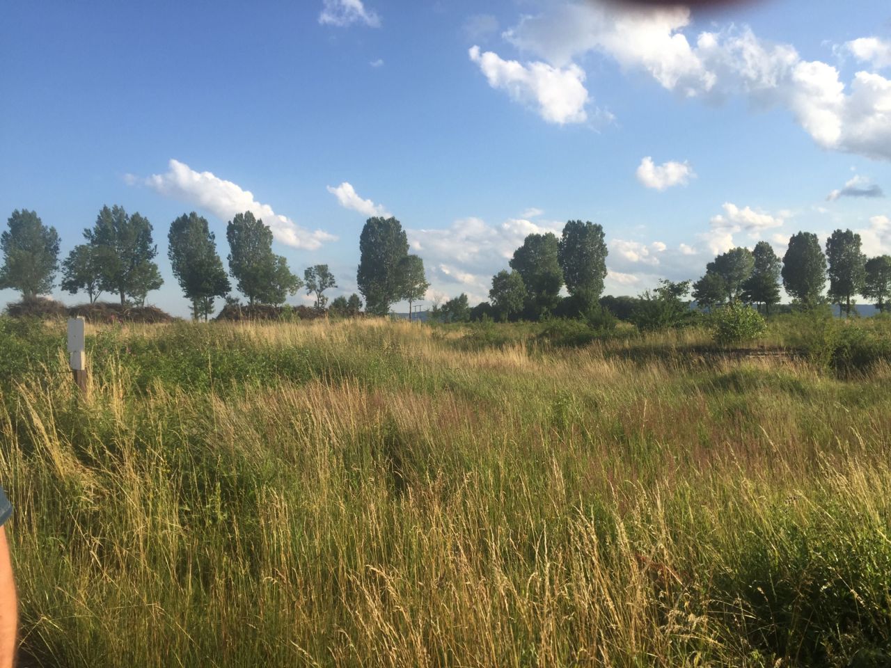 Działka inwestycyjna Mikowice. Zdjęcie 1