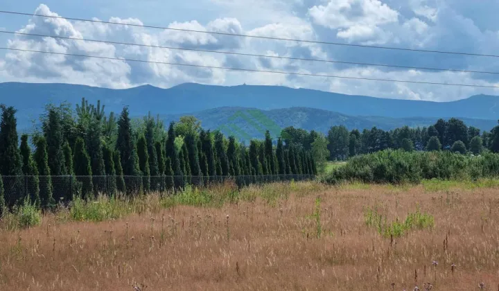 Działka budowlana Wojcieszyce
