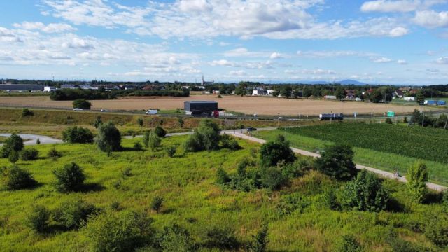 Działka inwestycyjna Iwiny, ul. Franza Petera Schuberta. Zdjęcie 4