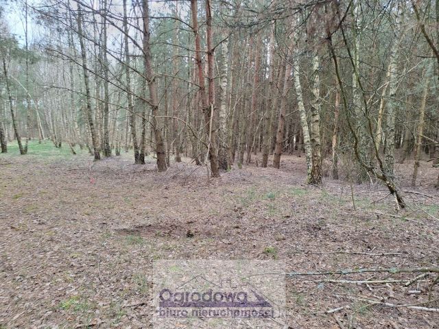 Działka Kamieńczyk. Zdjęcie 4