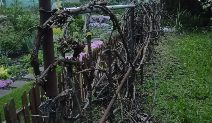 Działka rod Wrocław Śródmieście