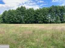 Działka rolna Ksawerów Nowy. Zdjęcie 4