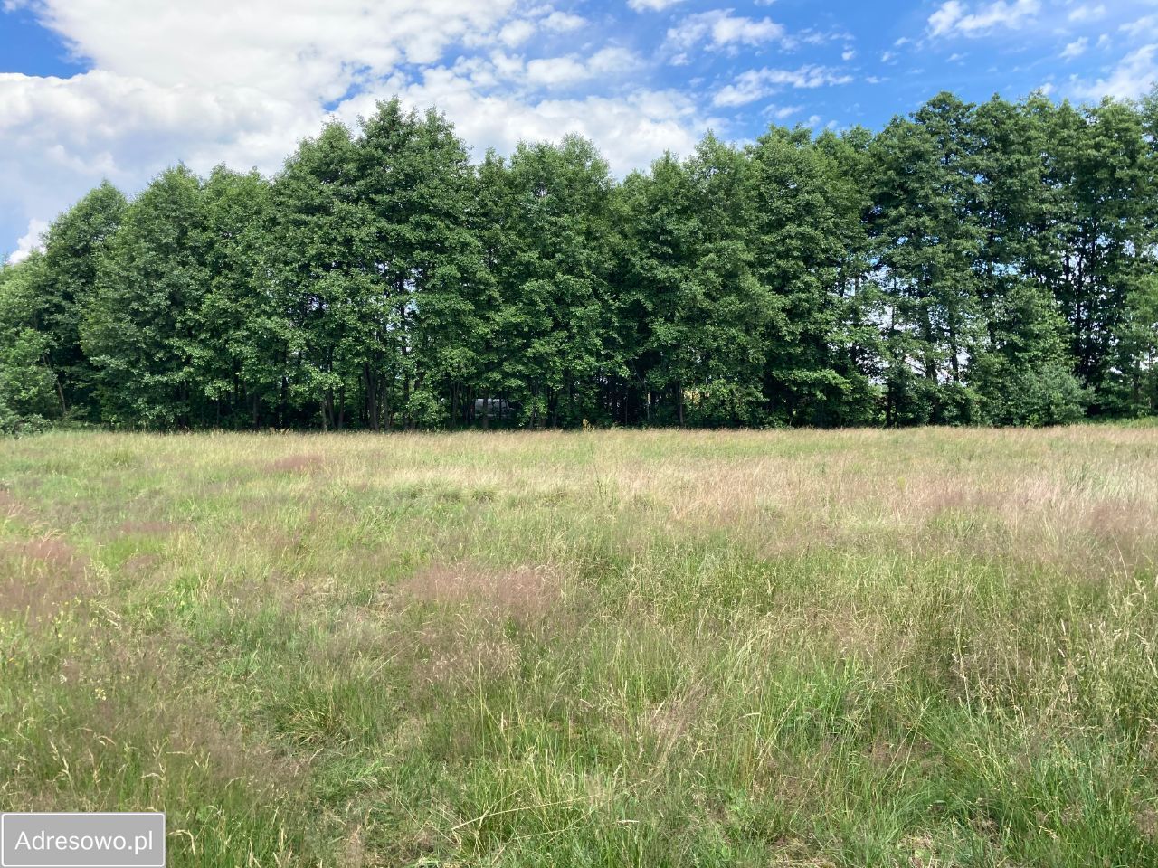 Działka rolna Ksawerów Nowy. Zdjęcie 5