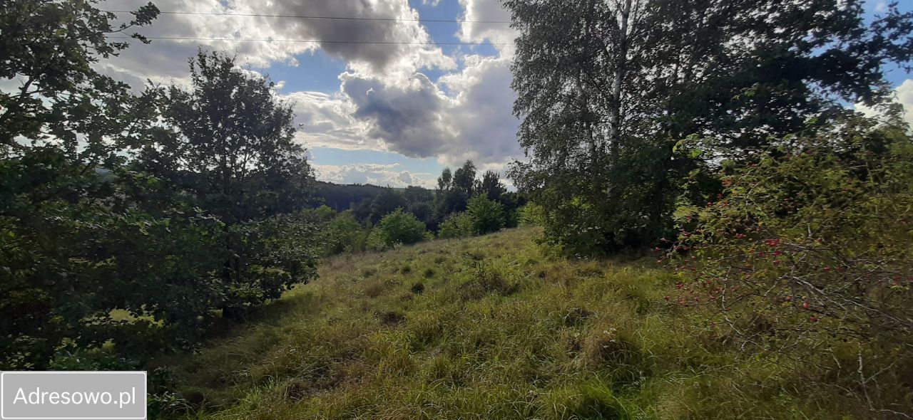 Działka budowlana Lwówek Śląski, ul. Jastrzębia. Zdjęcie 3