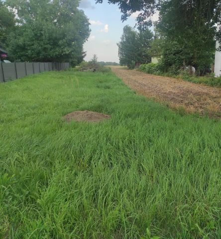 Działka budowlana Dąbrowa. Zdjęcie 1