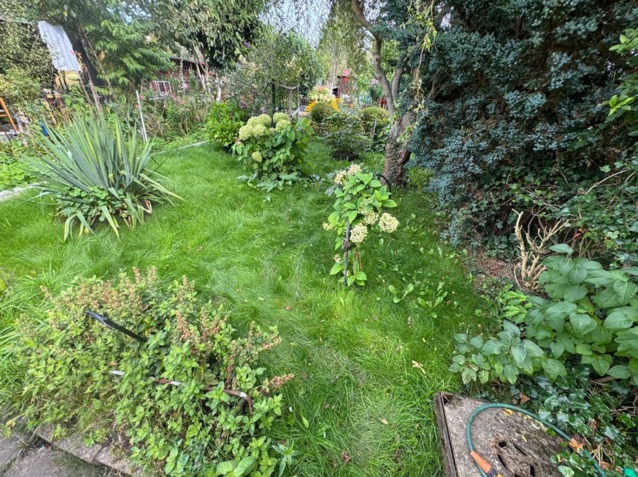 Działka rod Gdynia Mały Kack, ul. Przemyska. Zdjęcie 15