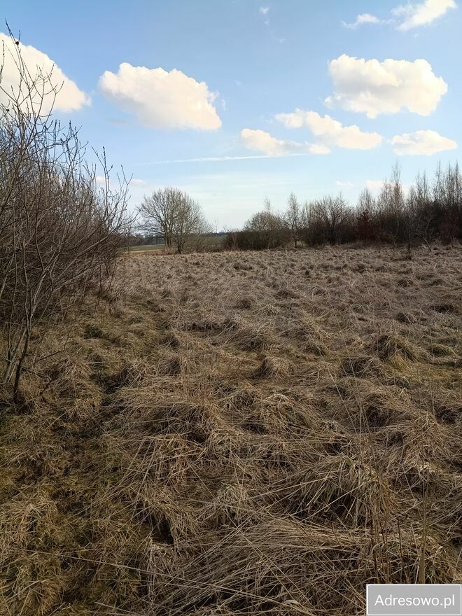 Działka rolna Modlinek. Zdjęcie 4