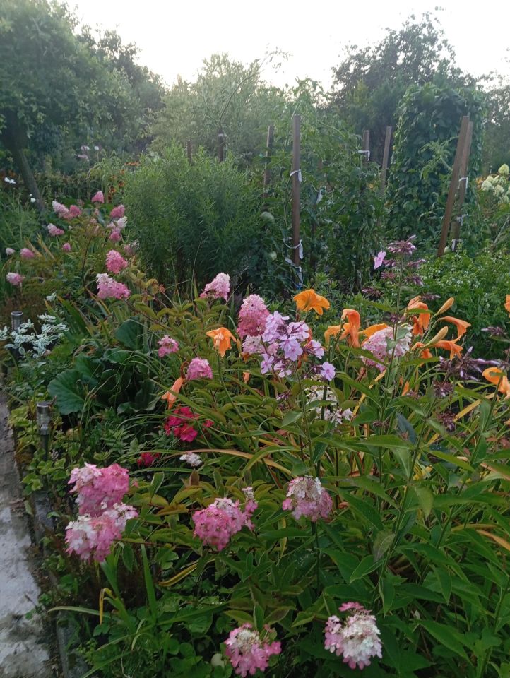 Działka rod Zielona Góra, ul. Osiedle Pomorskie. Zdjęcie 2