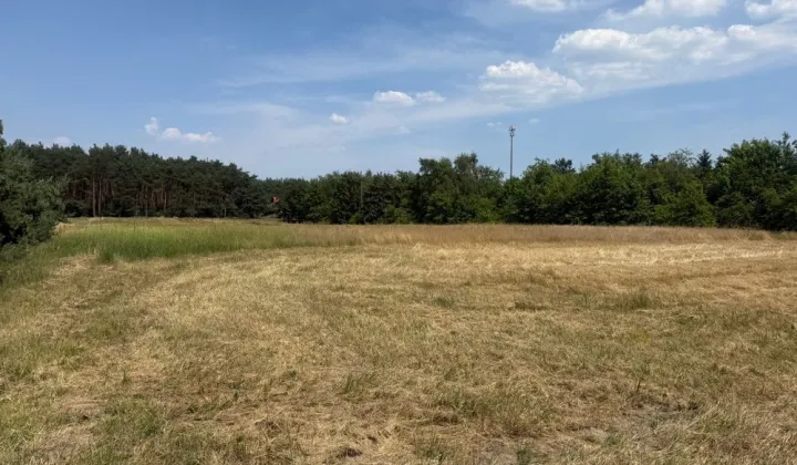 Działka budowlana Lubogoszcz