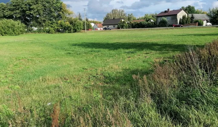 Działka budowlana Lisów
