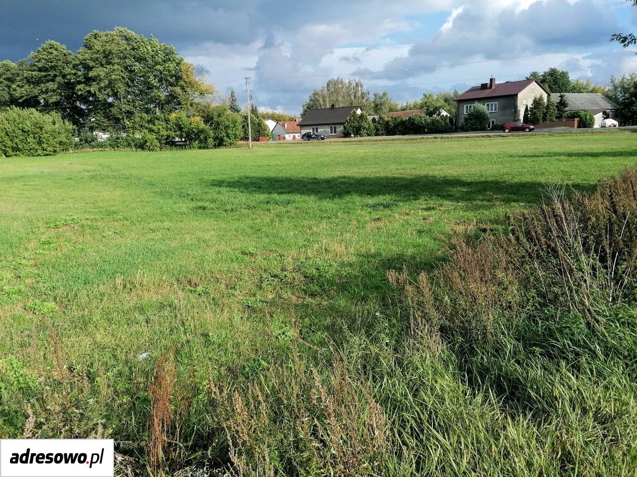 Działka Lisów